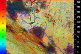 3D Measurement (in Microns)