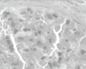 Figure 5 A