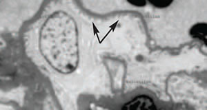 Figure 5 C