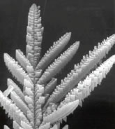 Dendritic Ice Crystals