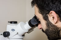 microscope eye shields