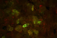 Parallel cuts across the copper trace, fluorescence