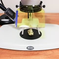 Fluorescent mineral on microscope stage