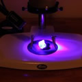 Mineral illuminated with Royal Blue excitation