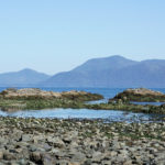 The intertidal zone, Kuiu Island, Tebenkof Bay, Alaska (c) Charles Mazel