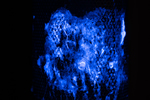 ultraviolet