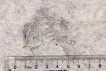 Collected fibers, detail
