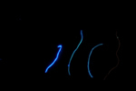 ultraviolet
