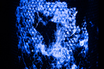 ultraviolet