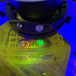 Two corals on settlement plugs fluorescing under the microscope illumination (c) Mote Marine Laboratory, reproduced with permission