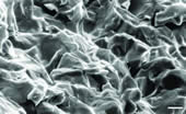 Wax Crystals in Gas Oil