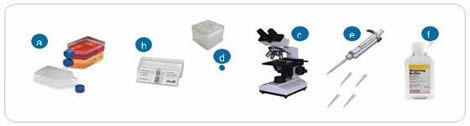 Equipment necessary for performing cell count with hemocytometer
