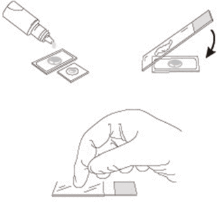 How To Use CoverWell™ Incubation Chambers