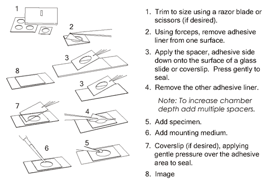 Instructions for Using SecureSeal™ Imaging Spacers