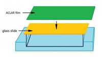 Flat Embedding Crystal