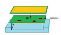 Flat Embedding Crystal