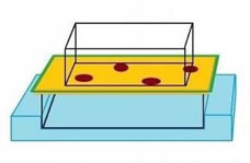 Flat Embedding Crystal
