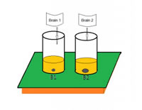Slice Capsules