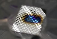 Section of printed circuit board, fluorescence