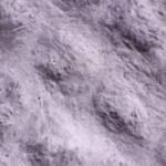 Paper towel, white light