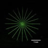 TAM panel starburst with fluorescent penetrant