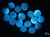 DAPI-stained zebrafish embryos, fluorescing under ultraviolet light excitation