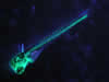 Fluorescing Zebrafish with Stereo Microscope Fluorescence Adapter