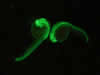 Zebrafish embryos – histone H2B-Dendra2 © Charles Mazel