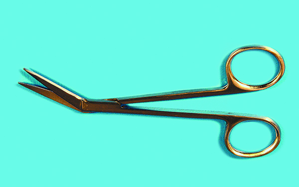 Iris dissecting scissors