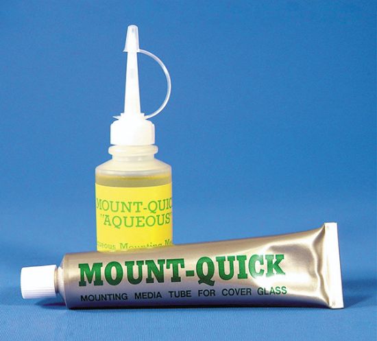 Picture of Mount Quick, Solvent Base