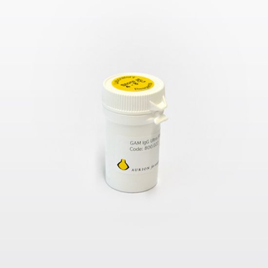 Picture of Goat-anti-Mouse IgG (H&L)