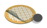 Picture of Carbon Film on London Finder Grids