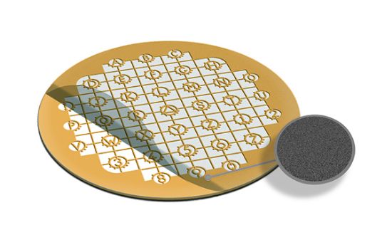Picture of Carbon Film on London Finder Grids