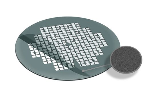 Picture of Carbon Support Film London Finder LF200 Ni Grids