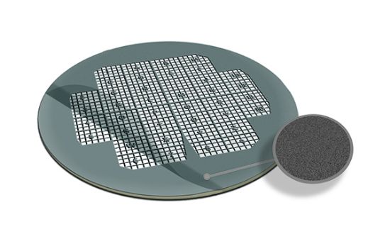 Picture of Carbon Support Film London Finder LF400 Ni Grids