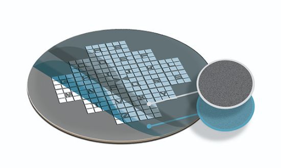 Picture of Formvar/Carbon Gilder Finder Grids, Ni, F2, SC