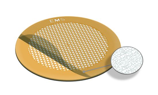 Picture of Lacey Carbon Film 200 Mesh, Cu