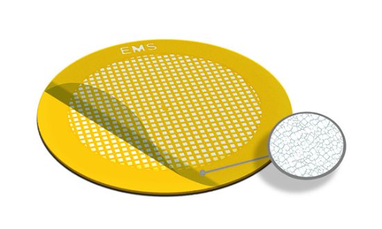 Picture of Lacey Carbon Film 300 Mesh, Au