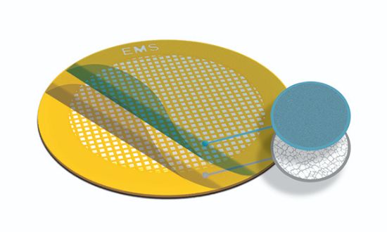 Picture of Lacey Carbon Film - Au, 300 mesh, 50 µ, cont. FF