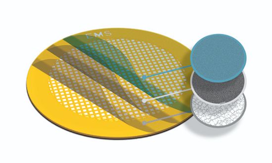 Picture of Lacey Carbon Film - Au, 300 mesh, 50 µ, cont. FCF