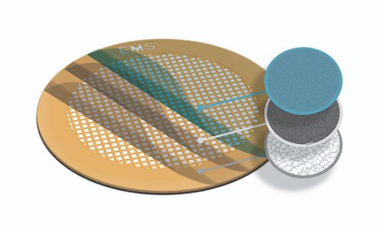Picture of Lacey Carbon Film - Cu, 400 mesh, 50 µ, cont. FCF