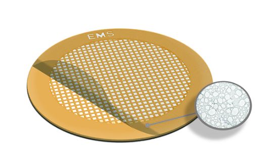 Picture of Holey Carbon Film - Cu, 200 Mesh, 50nm