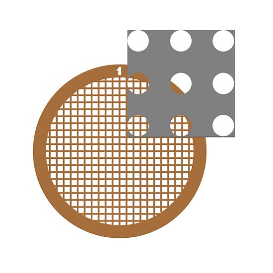 Picture of C-Flat™ Holey Carbon Grid 200 Mesh