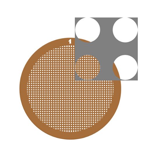 Picture of C-Flat™ Holey Thick Carbon Grid 4.0 µm Hole 2.0 µm Space 400 Mesh