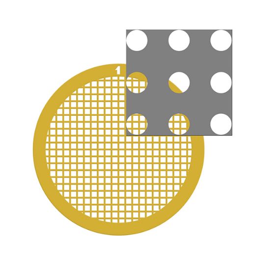 Picture of C-Flat™ Holey Carbon Grid Gold 2.0 µm Hole 2.0 µm Space 200 Mesh