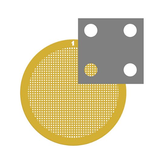Picture of C-Flat™ Holey Carbon Grid 2.0 µm Hole 4.0 µm Space 400 Mesh Au