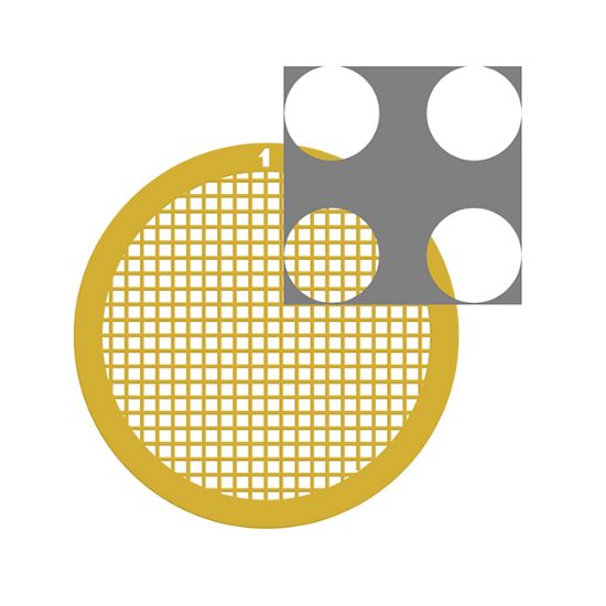 Picture of C-Flat™ Holey Carbon Grid Gold 4.0 µm Hole 2.0 µm Space 200 Mesh