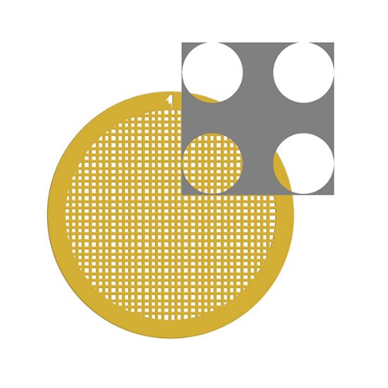 Picture of C-Flat™ Holey Carbon Grid Gold 4.0 µm Hole 2.0 µm Space 300 Mesh