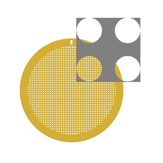 Picture of C-Flat™ Holey Carbon Grid 4 µm Hole 2 µm Space 400 Mesh Au