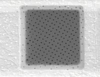 Picture of Quantifoil® R 1/2, 300 Mesh, Ni